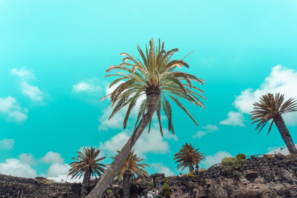 Top 7 des plus beaux endroits des Îles Canaries
